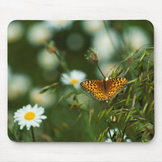 太平洋の油濁蝶 マウスパッド (正面)