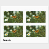 太平洋の油濁蝶 長方形シール (シート)