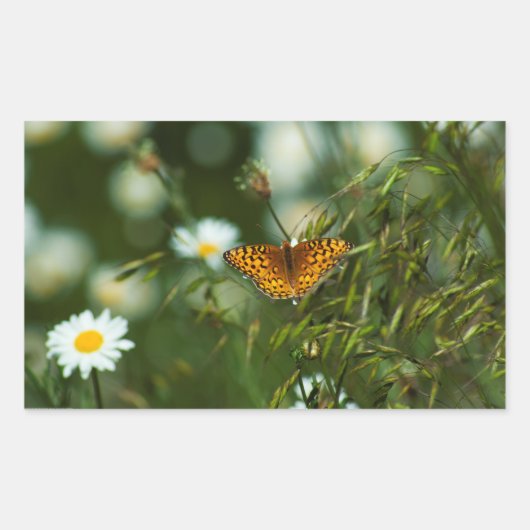 太平洋の油濁蝶 長方形シール (正面)