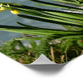 太平洋の海岸に水仙の花、ポートレート1 / 2 ポスター (角)