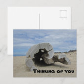 太平洋の海岸のドリフトウッドを想いながら ポストカード (正面/裏面)