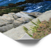 太平洋の海岸線の前の海のカモメ、写真 ポスター (角)