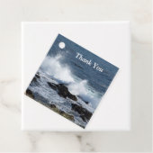 太平洋の海 フェイバータグ (インサイチュ)