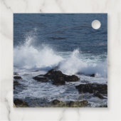 太平洋の海 フェイバータグ (裏面)