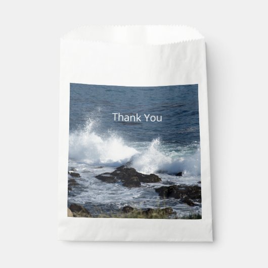 太平洋の海 フェイバーバッグ (正面)