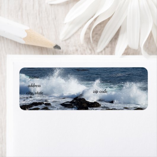 太平洋の海 ラベル (インサイチュ)