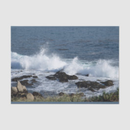 太平洋の海 薄葉紙