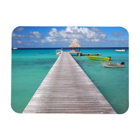 太平洋の長方形の磁石のジェットでボート マグネット (横)