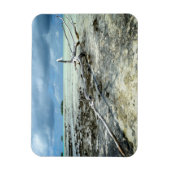 太平洋の長方形の磁石のデッドウッド マグネット (縦)