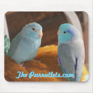 太平洋の青いParrotlets愛鳥のマウスパッドの写真 マウスパッド