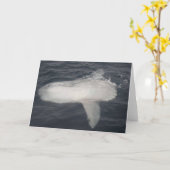 太平洋のSunfish (Molaのmola) カード (黄色い花)