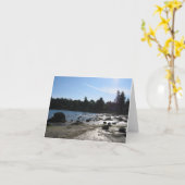 太平洋は自然リゾートを支えます カード (黄色い花)