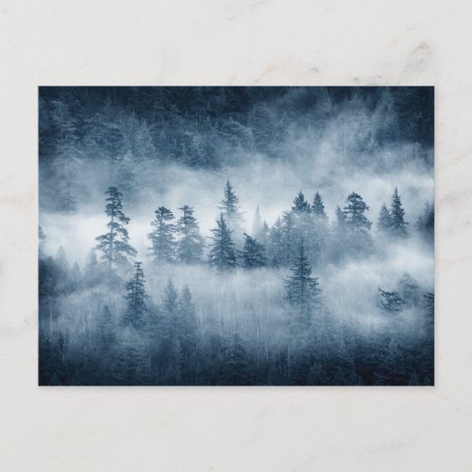 太平洋北西部の熱帯雨林の雲 ポストカード (正面)