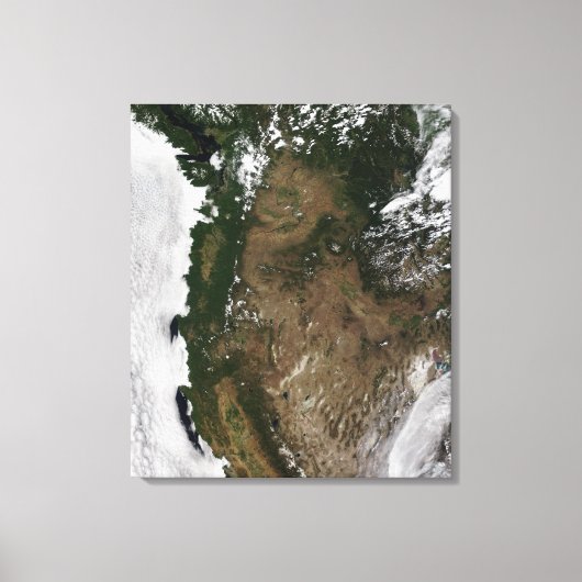 太平洋北西部州統一された域 キャンバスプリント (正面)