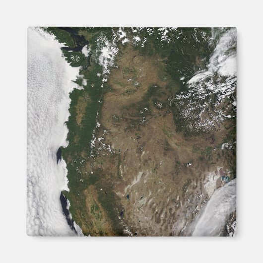 太平洋北西部州統一された域 マグネット (正面)