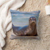 太平洋岸に沿ったビーチ上のシール クッション (ブランケット)