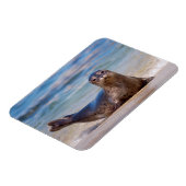 太平洋岸に沿ったビーチ上のシール マグネット (左側)