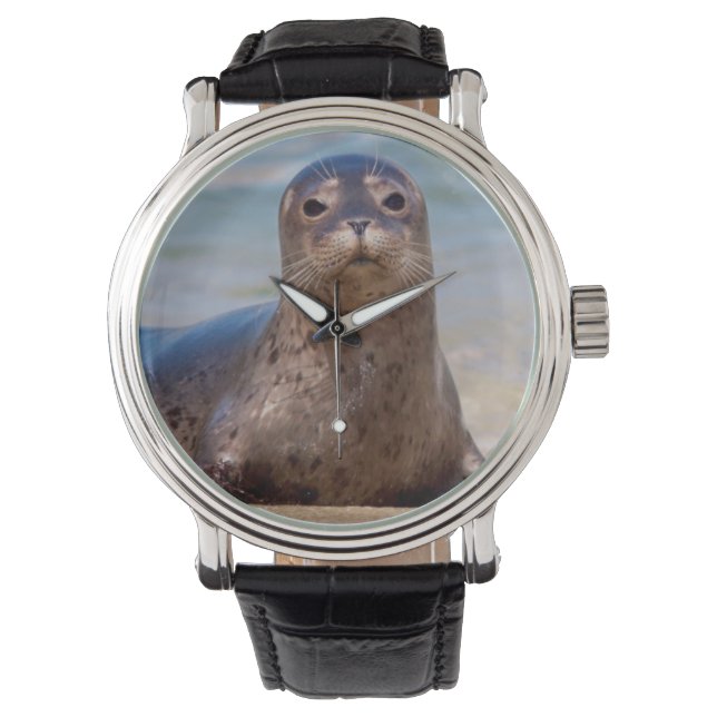 太平洋岸に沿ったビーチ上のシール 腕時計 (正面)
