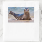 太平洋岸に沿ったビーチ上のシール 長方形シール (バッグ)