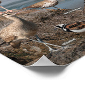 太平洋岸ポスター ポスター (角)