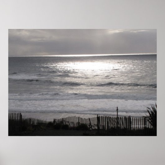 太平洋岸ポスター ポスター (正面)