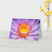 太平洋島《植物》スイレン カード (黄色い花)