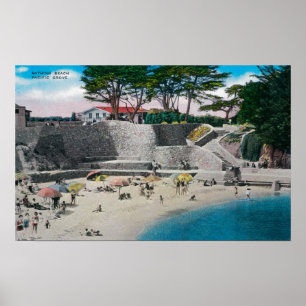 太平洋果樹園の浸るビーチ ポスター