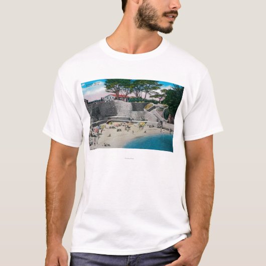 太平洋果樹園の浸るビーチ Tシャツ (正面)