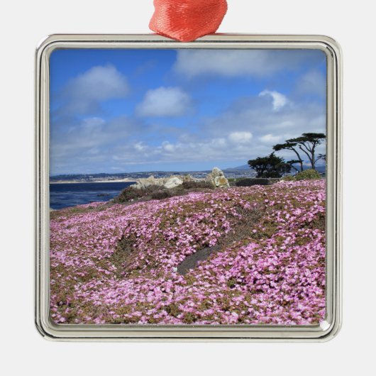 太平洋果樹園の紫色のカーペット メタルオーナメント (正面)