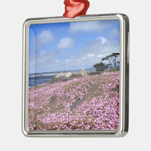 太平洋果樹園の紫色のカーペット メタルオーナメント (左)