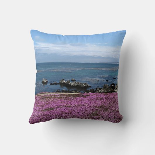 太平洋果樹園、カリフォルニアの枕 クッション (裏面)