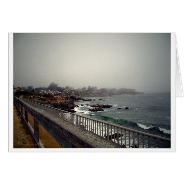 太平洋果樹園、カリフォルニア、米国 (正面横)