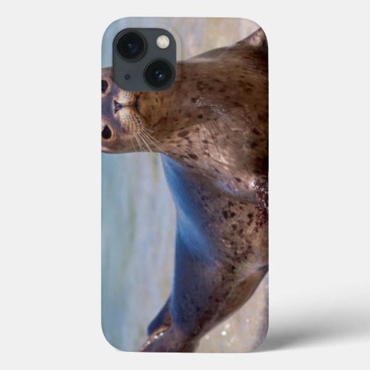太平洋沿岸に沿うビーチのシール Case-Mate iPhoneケース (裏面)