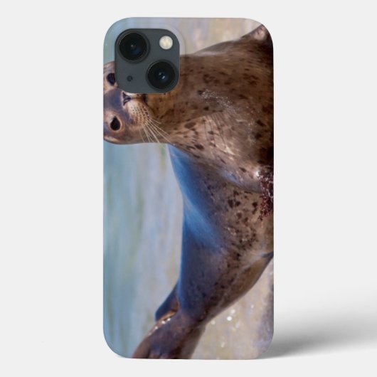 太平洋沿岸に沿うビーチのシール Case-Mate iPhoneケース (裏面)