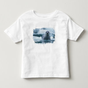 太平洋沿岸のアザラシ, Phoca vitulina richardsi トドラーTシャツ