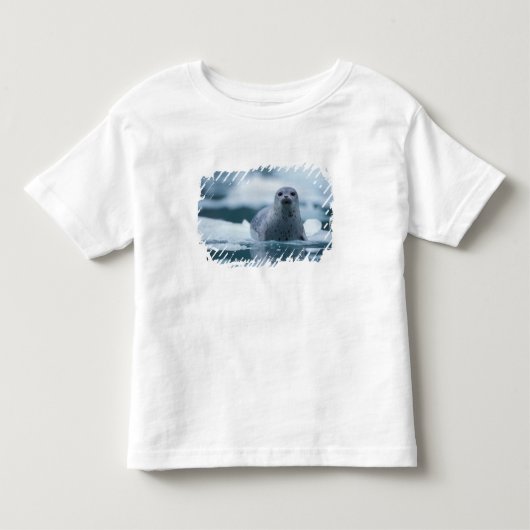 太平洋沿岸のアザラシ, Phoca vitulina richardsi トドラーTシャツ (正面)