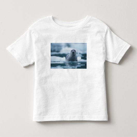太平洋沿岸のアザラシ, Phoca vitulina richardsi トドラーTシャツ (正面)