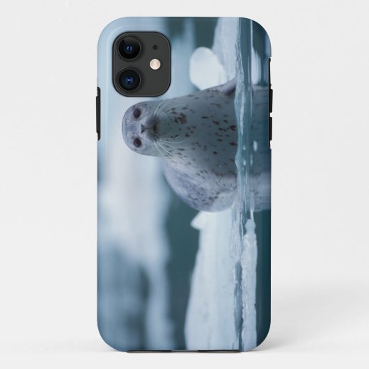太平洋沿岸のアザラシ, Phoca vitulina richardsi Case-Mate iPhoneケース (裏面)