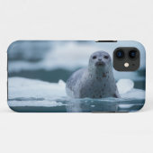 太平洋沿岸のアザラシ, Phoca vitulina richardsi Case-Mate iPhoneケース (裏面(横))