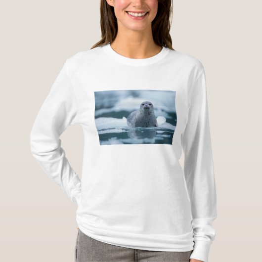 太平洋沿岸のアザラシ, Phoca vitulina richardsi Tシャツ (正面)