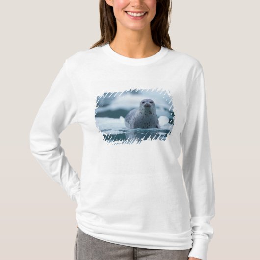 太平洋沿岸のアザラシ, Phoca vitulina richardsi Tシャツ (正面)