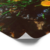 太平洋沿岸のケシ類 ポスター (角)