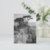 太平洋海 ポストカード (スタンド正面)