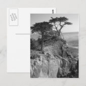 太平洋海 ポストカード (正面/裏面)