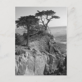 太平洋海 ポストカード