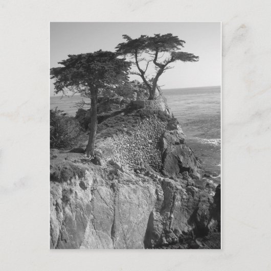 太平洋海 ポストカード (正面)