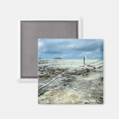 太平洋磁石のデッドウッド マグネット (正面/裏面)