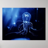 太平洋蛍光クラゲ ポスター (正面)