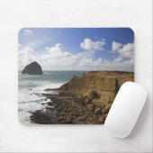 太平洋都市のオレゴンの岩が多い太平洋沿岸 マウスパッド (マウス)