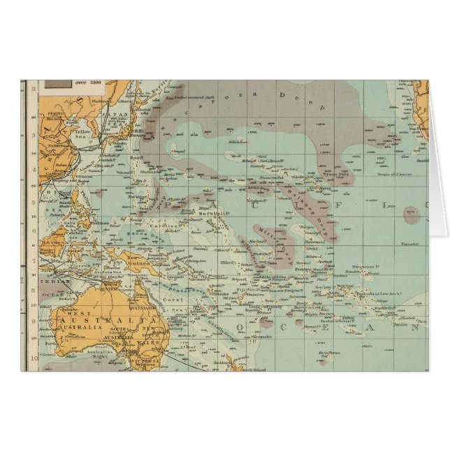 太平洋 (正面横)